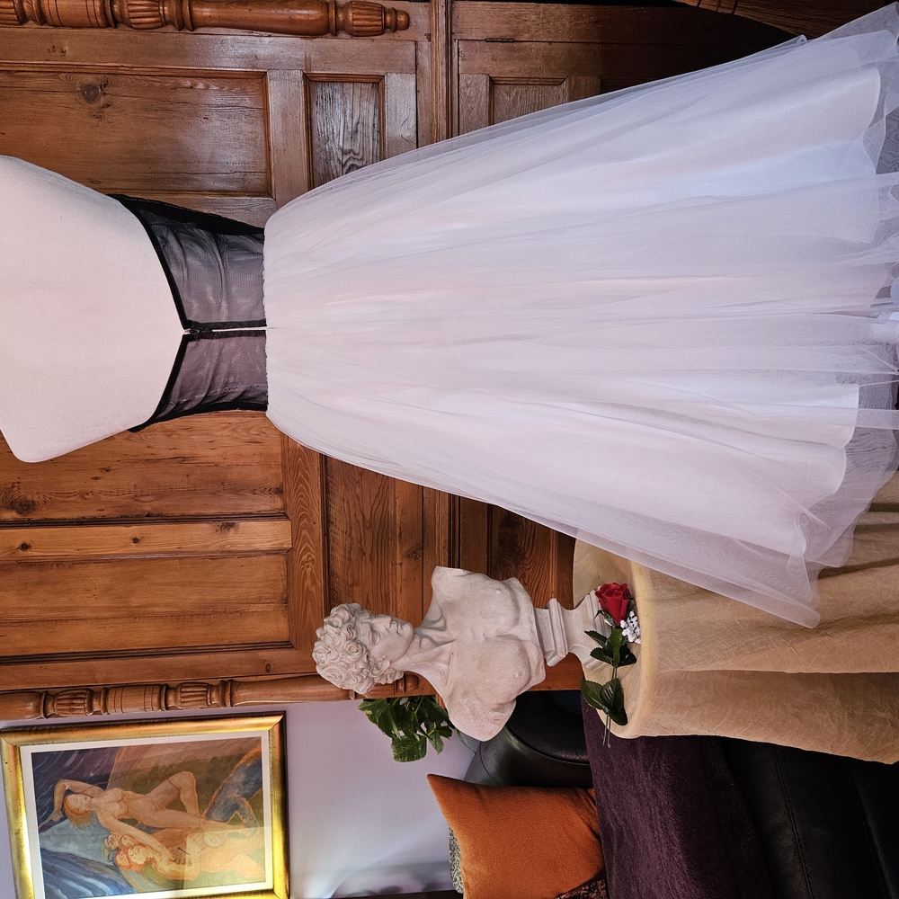 Camille La Vie Elegant Prom Dress. Black Leather Fitted Bodice, Tulle Skirt - Picture 5 of 8